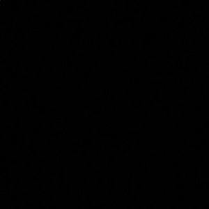 Meet your Posher, Manraj